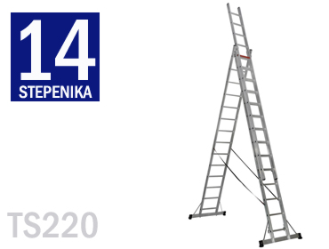ts220